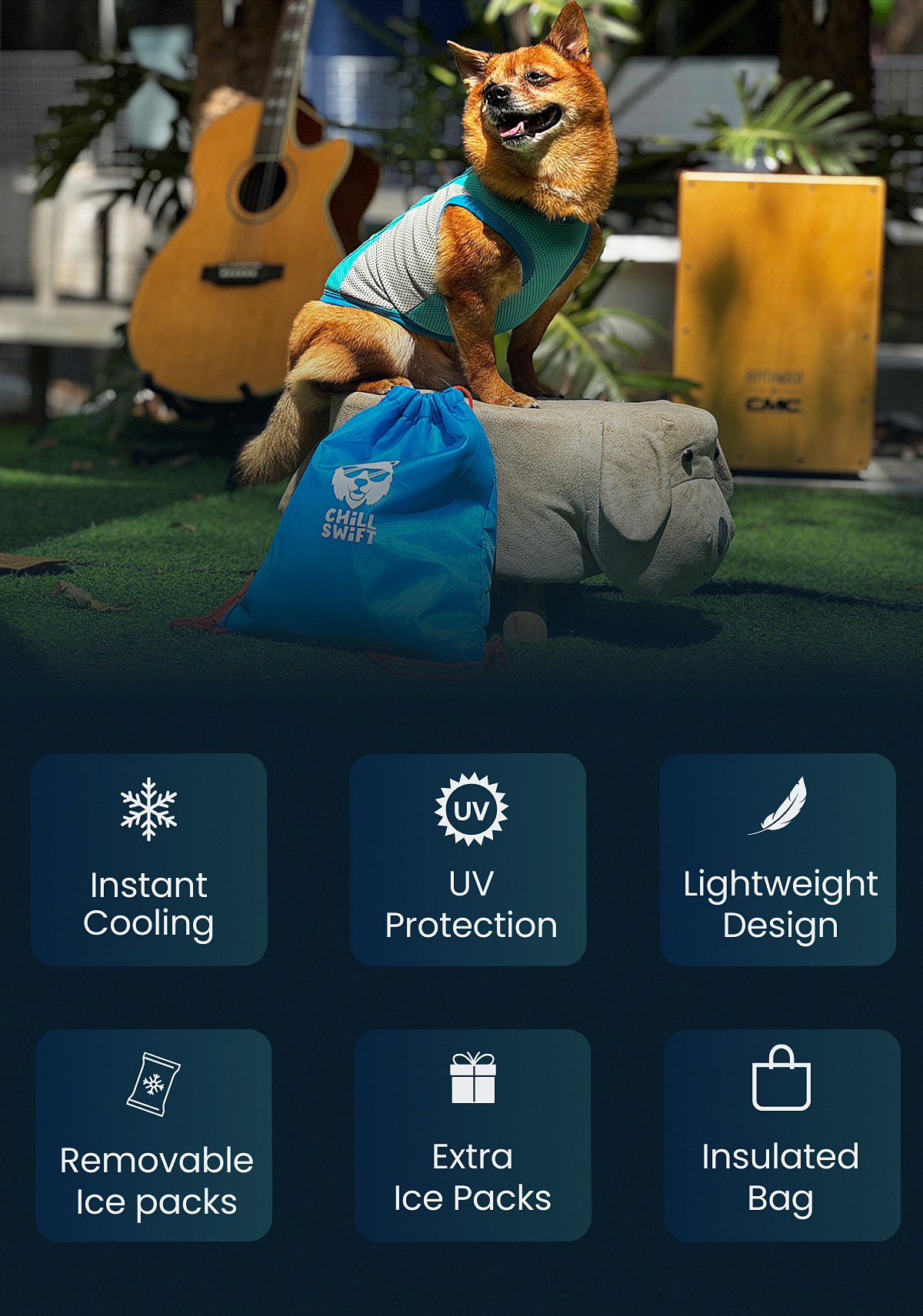 features features
